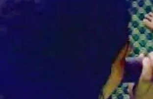 XXX Bruna in un ricevimento privato da una xxx vecchie troie gamba-setter