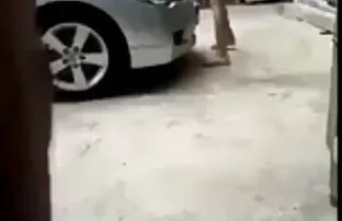 XXX Giovane sangue da incazzato vecchie troie video